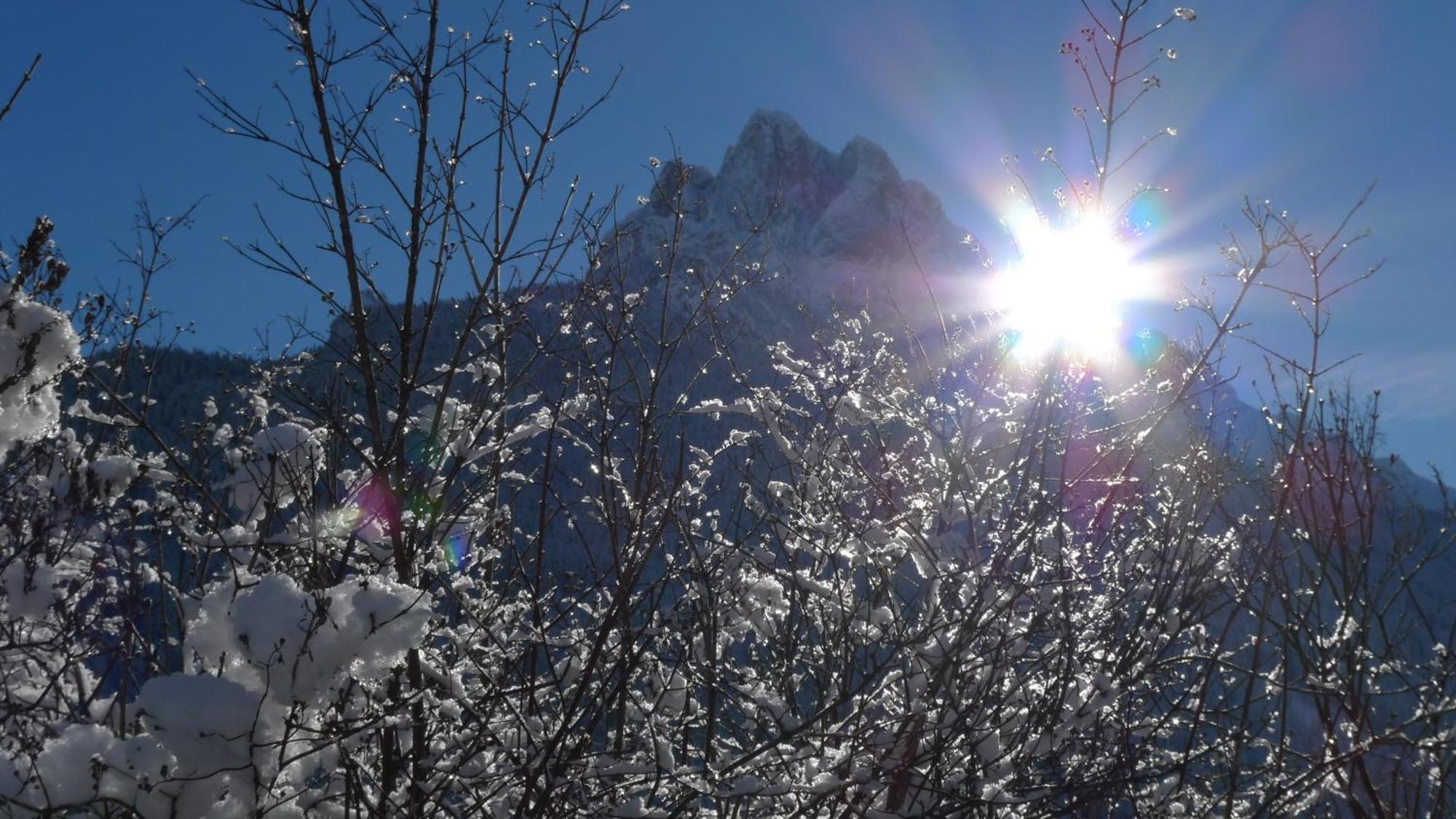 Villa Gemmy Pozza di Fassa Zewnętrze zdjęcie