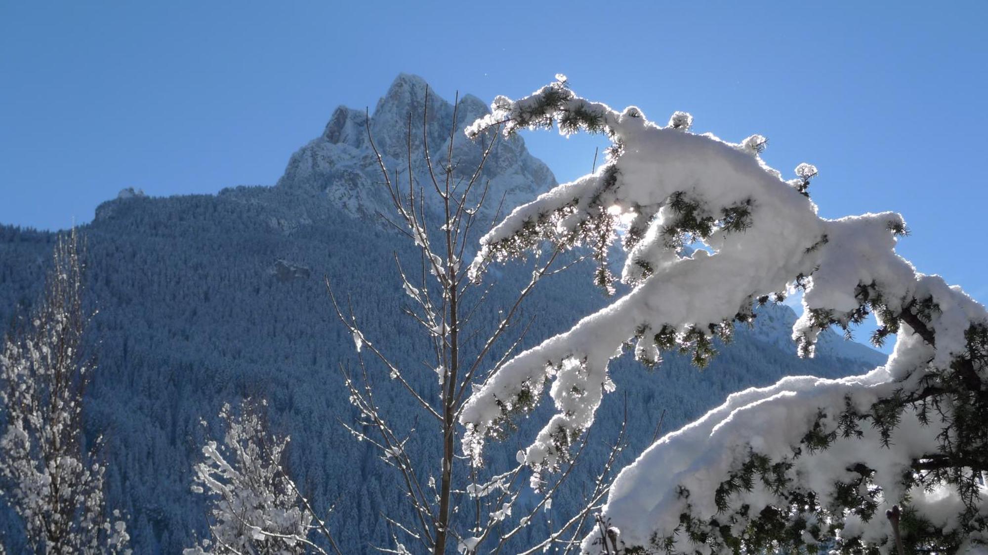 Villa Gemmy Pozza di Fassa Zewnętrze zdjęcie